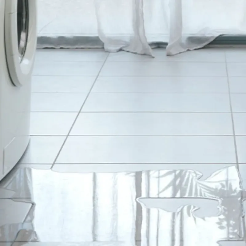 Appliance Leak Cleanup in Grady County, GA