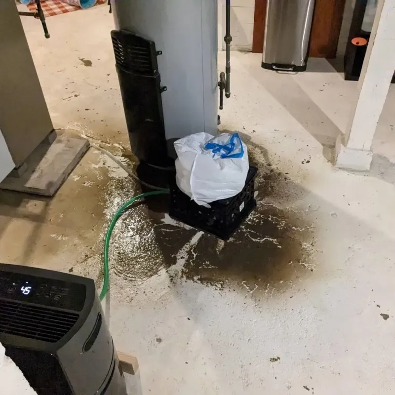 Sewage Backup Cleanup Service in Grady County, GA